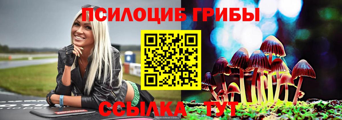 Пушкино  Псилоцибиновые грибы MAGIC MUSHROOMS  Вход с VPN  Галлюциногенные грибы мицелий 