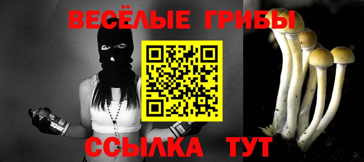 Галлюциногенные грибы MAGIC MUSHROOMS Пушкино