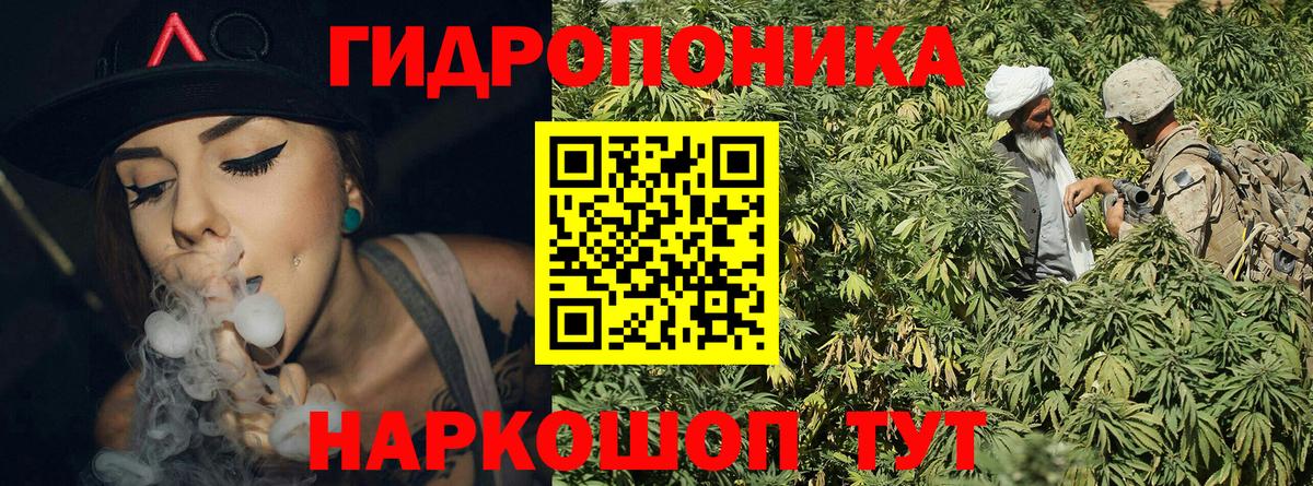 Шишки марихуана SATIVA & INDICA Пушкино